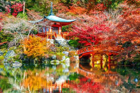 Japan: Where Tradition Meets the Future