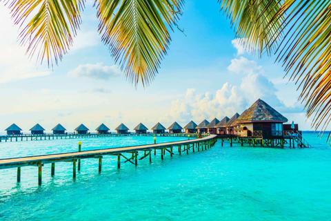 Maldives: Tropical Paradise Getaway